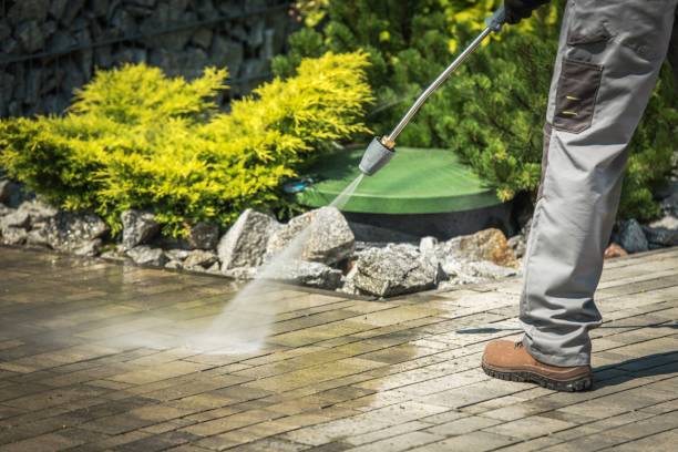 Pre-Holiday Cleaning in Idylwood, VA